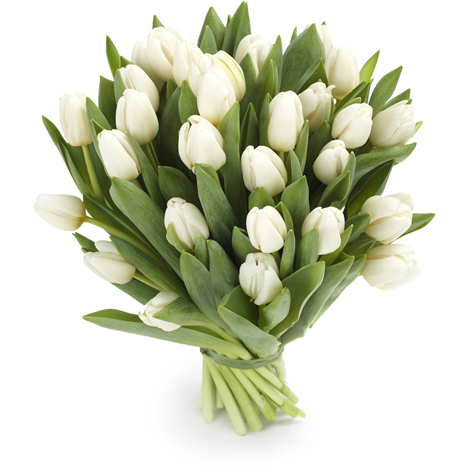 Фото товара 25 белых тюльпанов в Черноморске