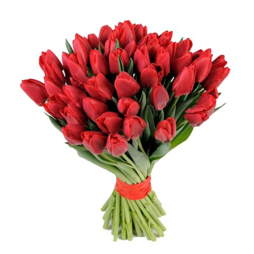 Фото товара 51 красный тюльпан в Черноморске