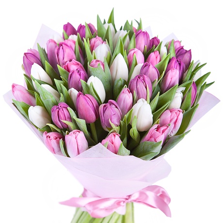 Фото товара 51 бело-розовый тюльпан в Черноморске