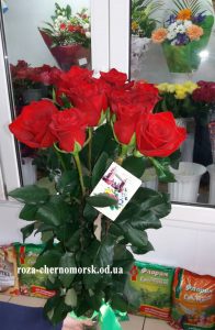 9 красных роз в Черноморске фото