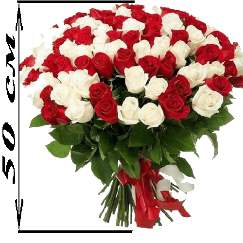 Фото товара 101 роза микс красная и белая (50 см) в Черноморске