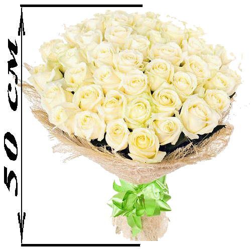 Фото товара 51 белая роза (50 см) в Черноморске