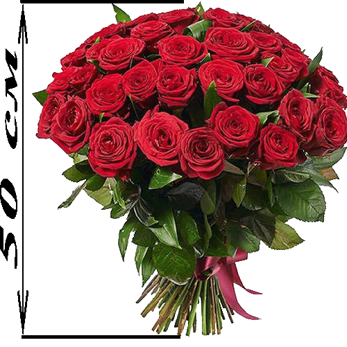 Фото товара 51 красная роза (50см) в Черноморске