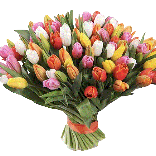 Фото товара 101 разноцветный тюльпан в Черноморске