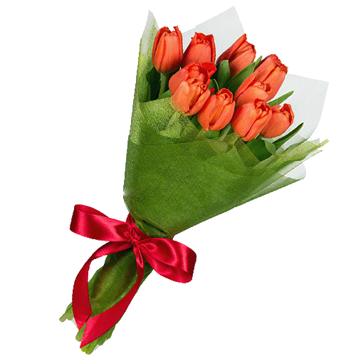 Фото товара 11 красных тюльпанов в Черноморске