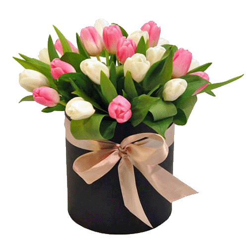 Фото товара 25 тюльпанов в коробке в Черноморске