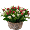 Фото товара 15 тюльпанов в корзине в Черноморске