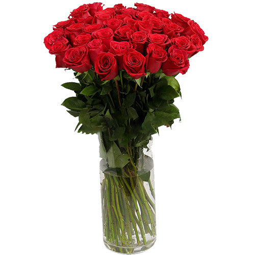 фото товара Троянда імпортна червона (поштучно) | «Букетик Чорноморськ»