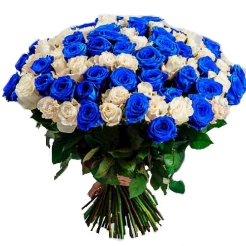 Фото товара 101 белая и синяя роза (крашеная) в Черноморске