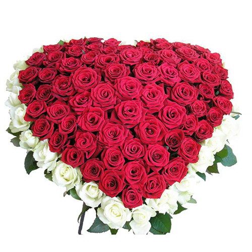 Фото товара 101 роза сердцем - белая, красная в Черноморске