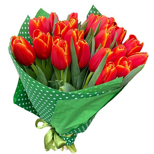 Фото товара 21 тюльпан "Маковый цвет" в Черноморске