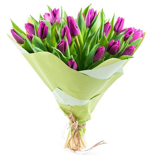 Фото товара 25 пурпурных тюльпанов в Черноморске