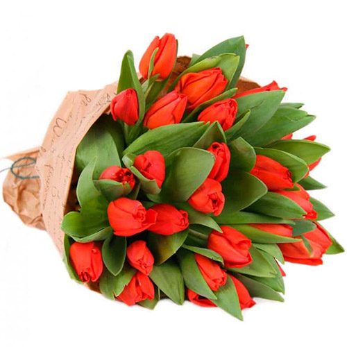 Фото товара 35 красных тюльпанов в "газете" в Черноморске