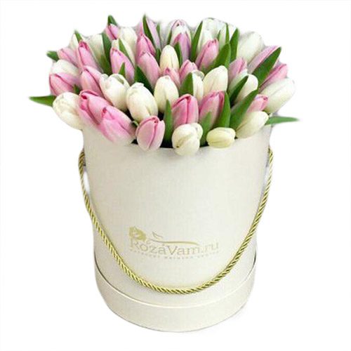 Фото товара 51 бело-розовый тюльпан в коробке в Черноморске