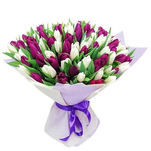 Фото товара 75 пурпурно-белых тюльпанов в Черноморске