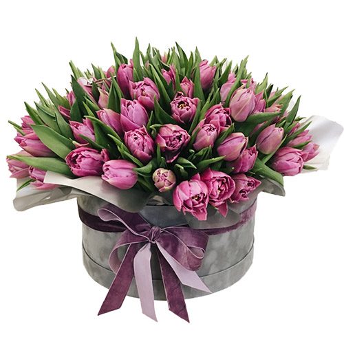 Фото товара 101 пурпурный тюльпан в коробке в Черноморске
