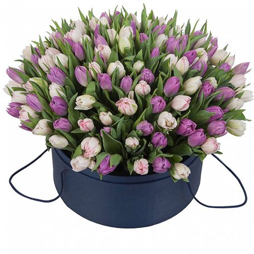 Фото товара 201 тюльпан (два цвета) в коробке в Черноморске