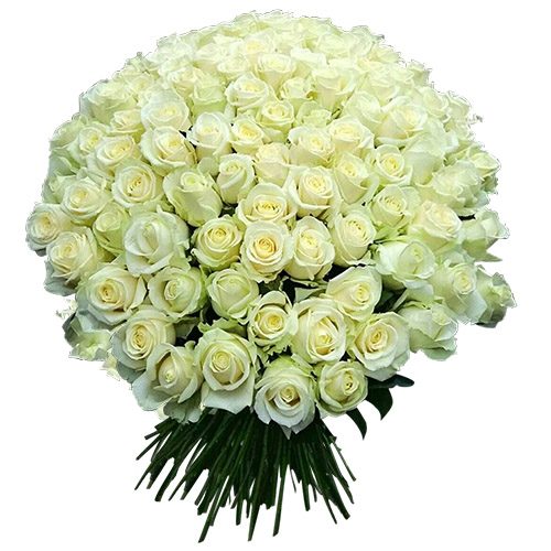 Фото товара 101 белая роза в Черноморске