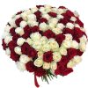 Фото товара 101 красная и белая роза в Черноморске