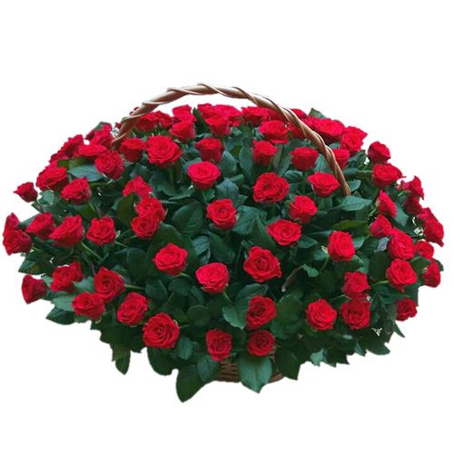 Фото товара Корзина 101 красная роза в Черноморске