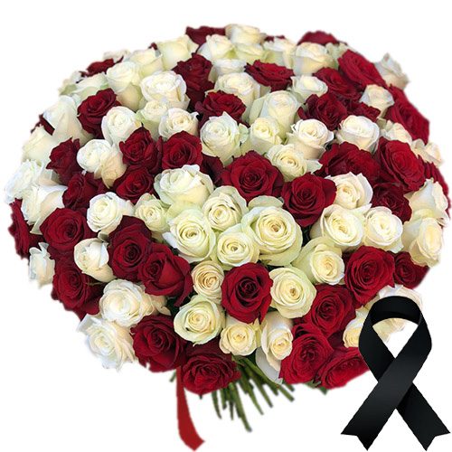 Фото товара 100 красно-белых роз в Черноморске