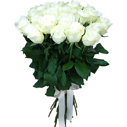 Фото товара 25 белых роз в Черноморске