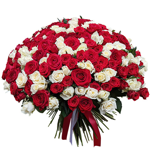Фото товара 201 красная и белая роза в Черноморске