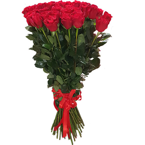 Фото товара 25 метровых роз "Фридом" в Черноморске