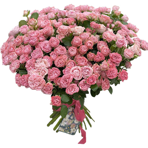 Фото товара 33 кустовые пионовидные розы в Черноморске