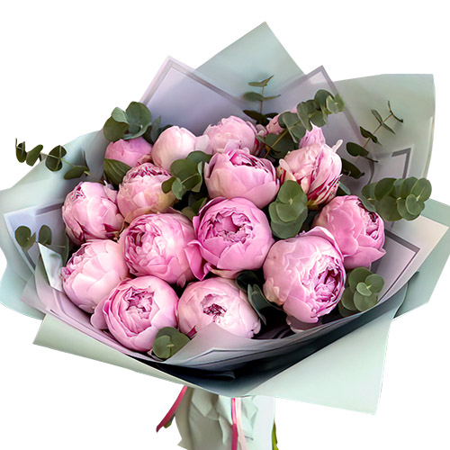 Фото товара 15 светло-розовых пионов с зеленью в Черноморске