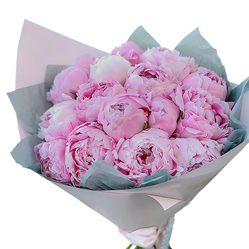 Фото товара 19 розовых пионов в Черноморске