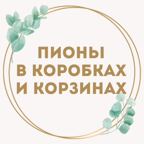 категория товаров Пионы в коробках и корзинах | «Букетик Черноморск»