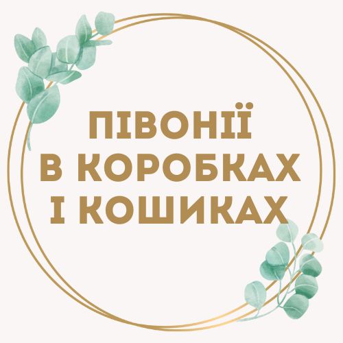 категория товаров Півонії в коробках та кошиках | «Букетик Черноморск»