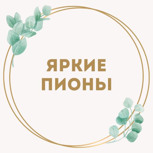 категория товаров Яркие пионы | «Букетик Черноморск»