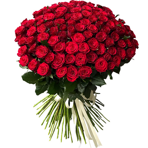 Фото товара 101 троянда червона в Черноморске