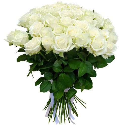 Фото товара 51 троянда біла в Черноморске