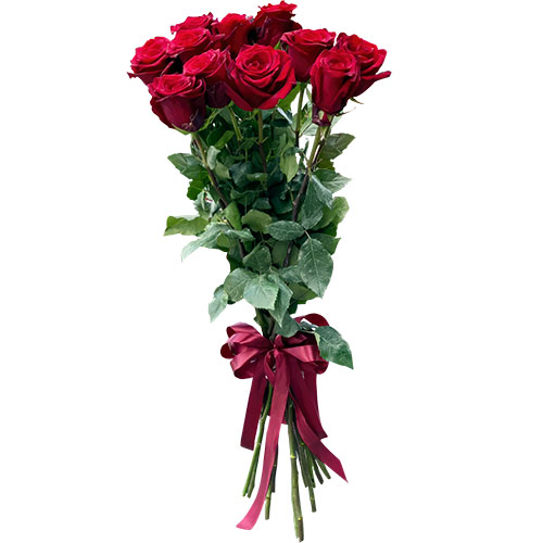 Фото товара 11 метровых роз в Черноморске