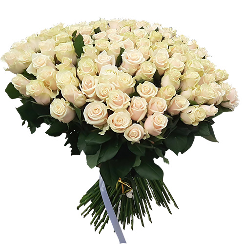 Фото товара Букет из 101 кремовой розы в Черноморске
