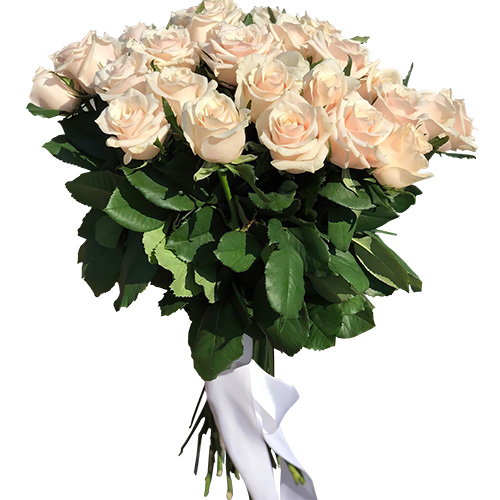 Фото товара Букет из 33 кремовых роз в Черноморске